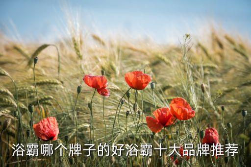 浴霸哪個(gè)牌子的好浴霸十大品牌推薦