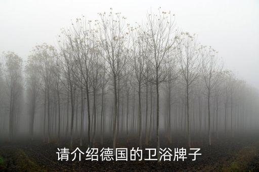 進(jìn)口衛(wèi)浴代工廠品牌有哪些,衛(wèi)浴代工廠自主品牌