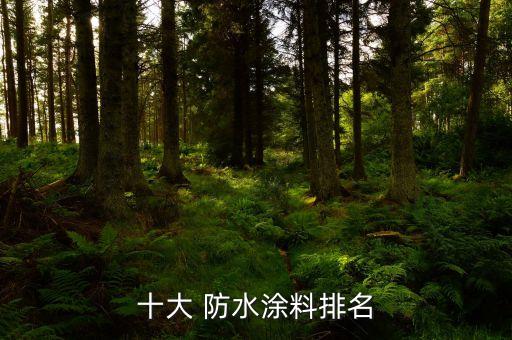 十大 防水涂料排名