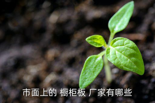 市面上的 櫥柜板 廠家有哪些