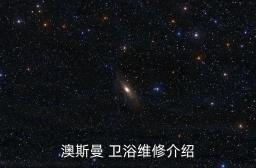 澳斯曼 衛(wèi)浴維修介紹