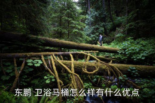 東鵬 衛(wèi)浴馬桶怎么樣有什么優(yōu)點