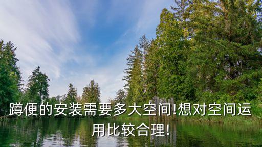 蹲便的安裝需要多大空間!想對空間運用比較合理!