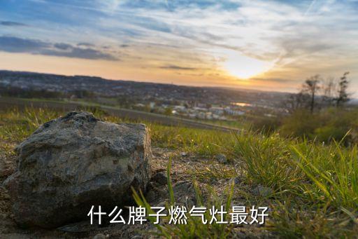 什么牌子燃?xì)庠钭詈? class=