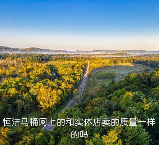 恒潔馬桶網(wǎng)上的和實體店賣的質(zhì)量一樣的嗎
