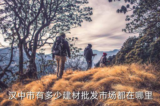  漢中市有多少建材批發(fā)市場都在哪里