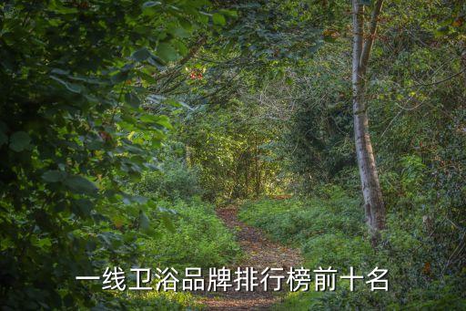 一線衛(wèi)浴品牌排行榜前十名