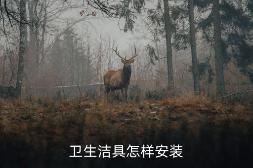 衛(wèi)浴安裝接單完工圖片大全