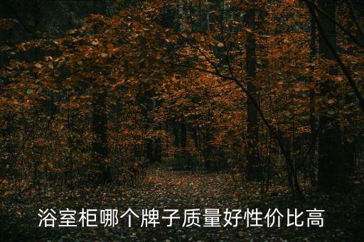 浴室柜哪個(gè)牌子質(zhì)量好性價(jià)比高