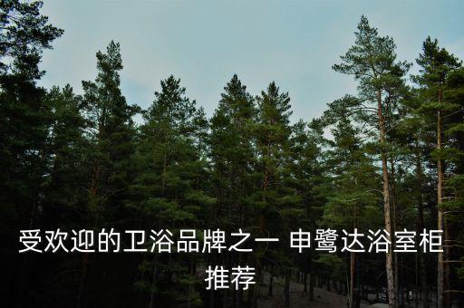 受歡迎的衛(wèi)浴品牌之一 申鷺達(dá)浴室柜推薦