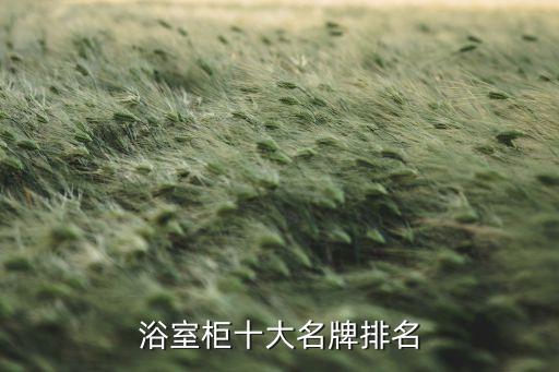 有背板的衛(wèi)浴柜品牌有哪些