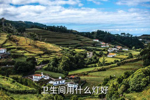 衛(wèi)生間用什么燈好