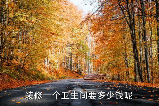 現(xiàn)代衛(wèi)浴間圖片,衛(wèi)浴間置物架圖片大全