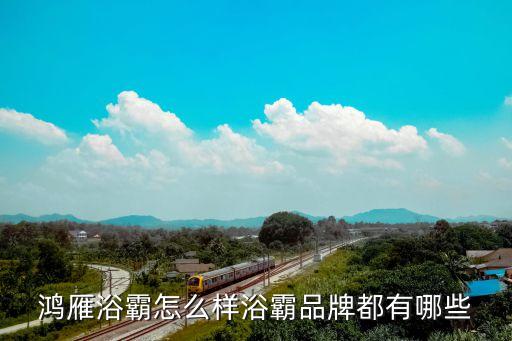 衛(wèi)浴電器網上批發(fā)廠家電話