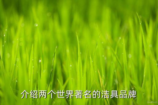 國際衛(wèi)浴品牌聯(lián)盟,國際頂級衛(wèi)浴品牌排行榜