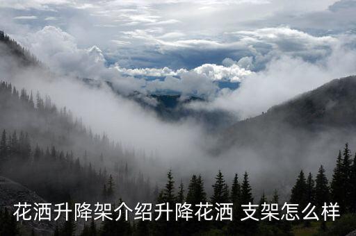 花灑升降架介紹升降花灑 支架怎么樣