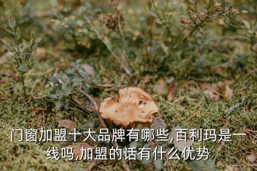 門窗加盟十大品牌有哪些,百利瑪是一線嗎,加盟的話有什么優(yōu)勢