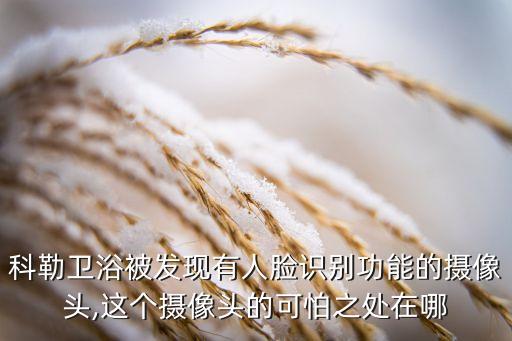 科勒衛(wèi)浴被發(fā)現(xiàn)有人臉識(shí)別功能的攝像頭,這個(gè)攝像頭的可怕之處在哪