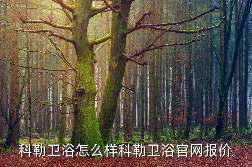 科勒衛(wèi)浴怎么樣科勒衛(wèi)浴官網(wǎng)報價