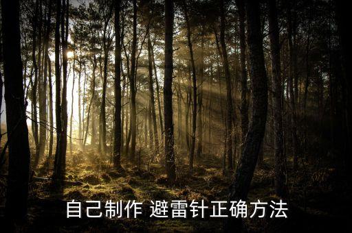 自己制作 避雷針正確方法