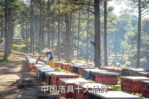 中國(guó)潔具十大品牌