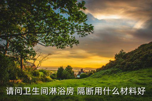 衛(wèi)浴玻璃隔斷怎么做的圖片