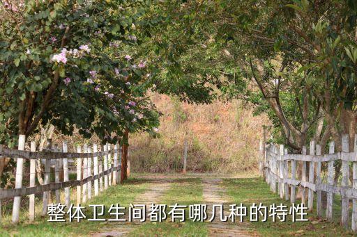 衛(wèi)浴模型結構講解圖片