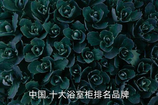 中國 十大浴室柜排名品牌