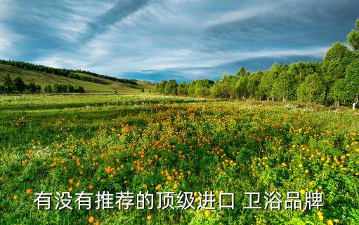 有沒有推薦的頂級進(jìn)口 衛(wèi)浴品牌