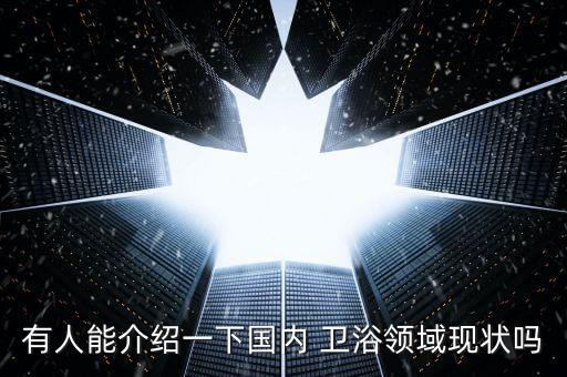 有人能介紹一下國內(nèi) 衛(wèi)浴領(lǐng)域現(xiàn)狀嗎