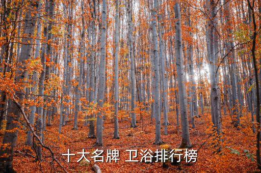 十大名牌 衛(wèi)浴排行榜