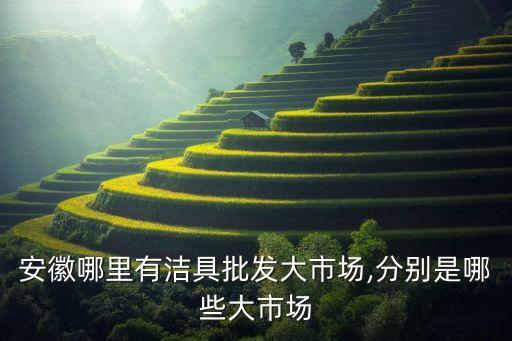 安徽哪里有潔具批發(fā)大市場,分別是哪些大市場
