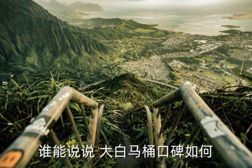 誰能說說 大白馬桶口碑如何