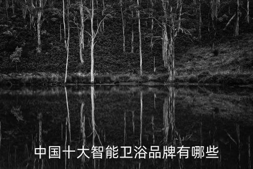 中國十大智能衛(wèi)浴品牌有哪些