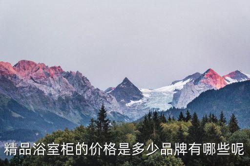 精品浴室柜的價格是多少品牌有哪些呢