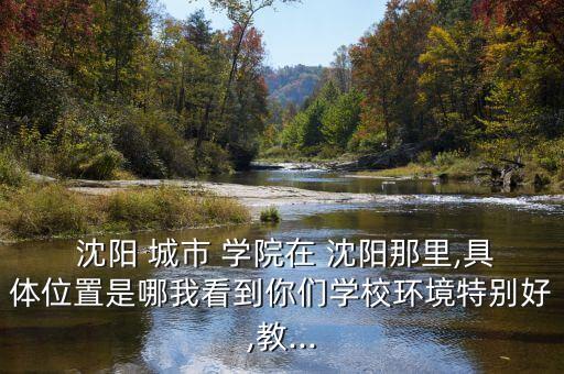  沈陽 城市 學(xué)院在 沈陽那里,具體位置是哪我看到你們學(xué)校環(huán)境特別好,教...
