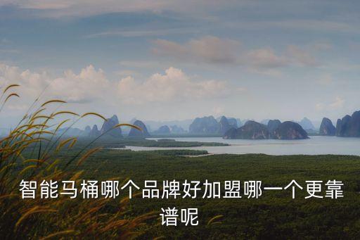  智能馬桶哪個品牌好加盟哪一個更靠譜呢