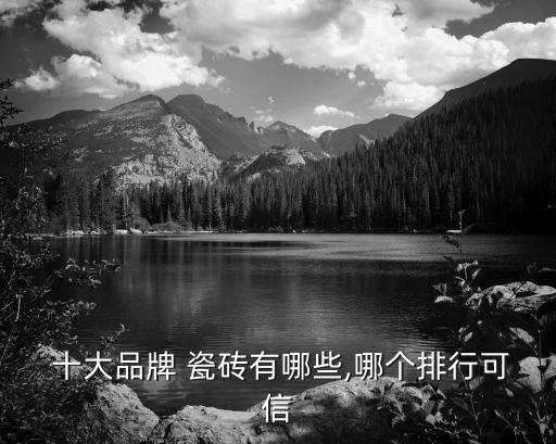  十大品牌 瓷磚有哪些,哪個(gè)排行可信
