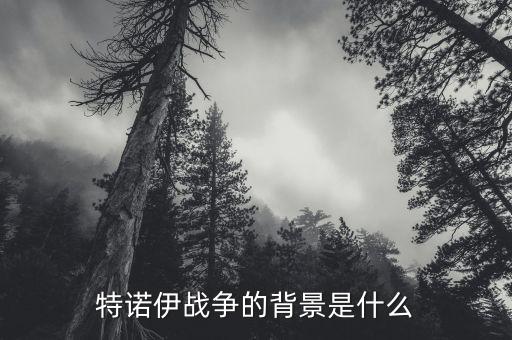 特諾伊戰(zhàn)爭的背景是什么