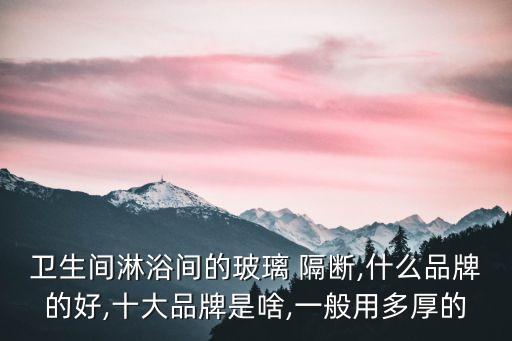 衛(wèi)生間淋浴間的玻璃 隔斷,什么品牌的好,十大品牌是啥,一般用多厚的