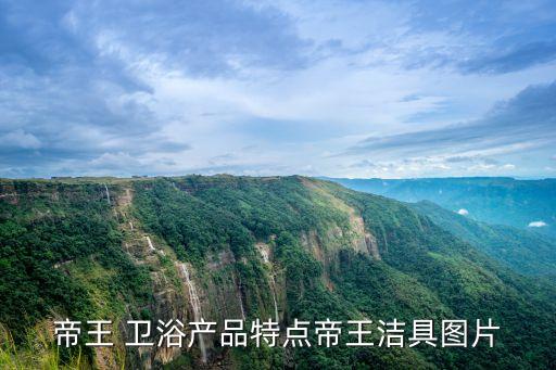 帝王 衛(wèi)浴產(chǎn)品特點(diǎn)帝王潔具圖片