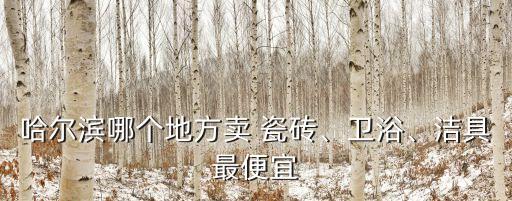 哈爾濱哪個地方賣 瓷磚、衛(wèi)浴、潔具最便宜