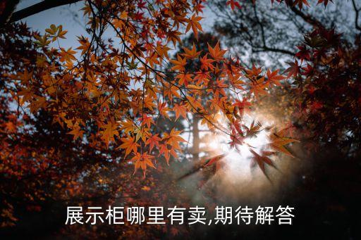 展示柜哪里有賣,期待解答