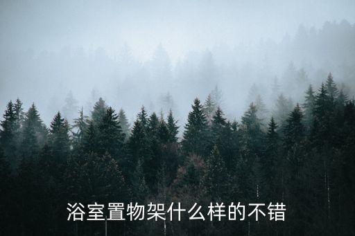 吉林全自動衛(wèi)浴結構圖片
