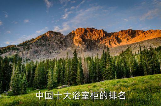 歐牌衛(wèi)浴圖片,帝牌衛(wèi)浴logo圖片