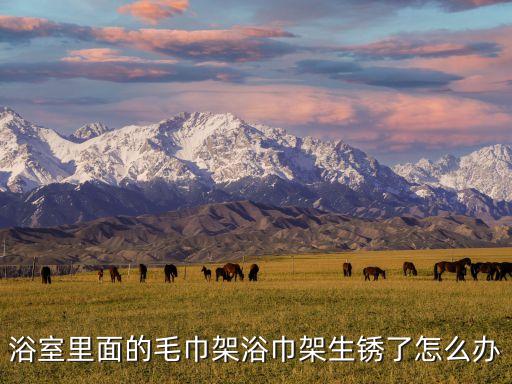 衛(wèi)浴五金去銹妙招圖片大全