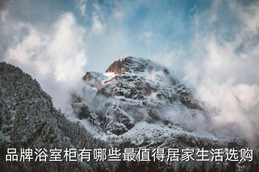 推薦的衛(wèi)浴柜品牌有哪些