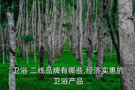  衛(wèi)浴 二線品牌有哪些,經(jīng)濟(jì)實(shí)惠的 衛(wèi)浴產(chǎn)品