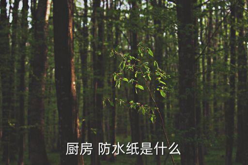 廚房 防水紙是什么