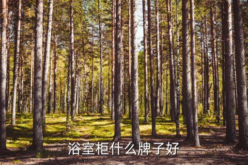 美式高端衛(wèi)浴柜品牌有哪些